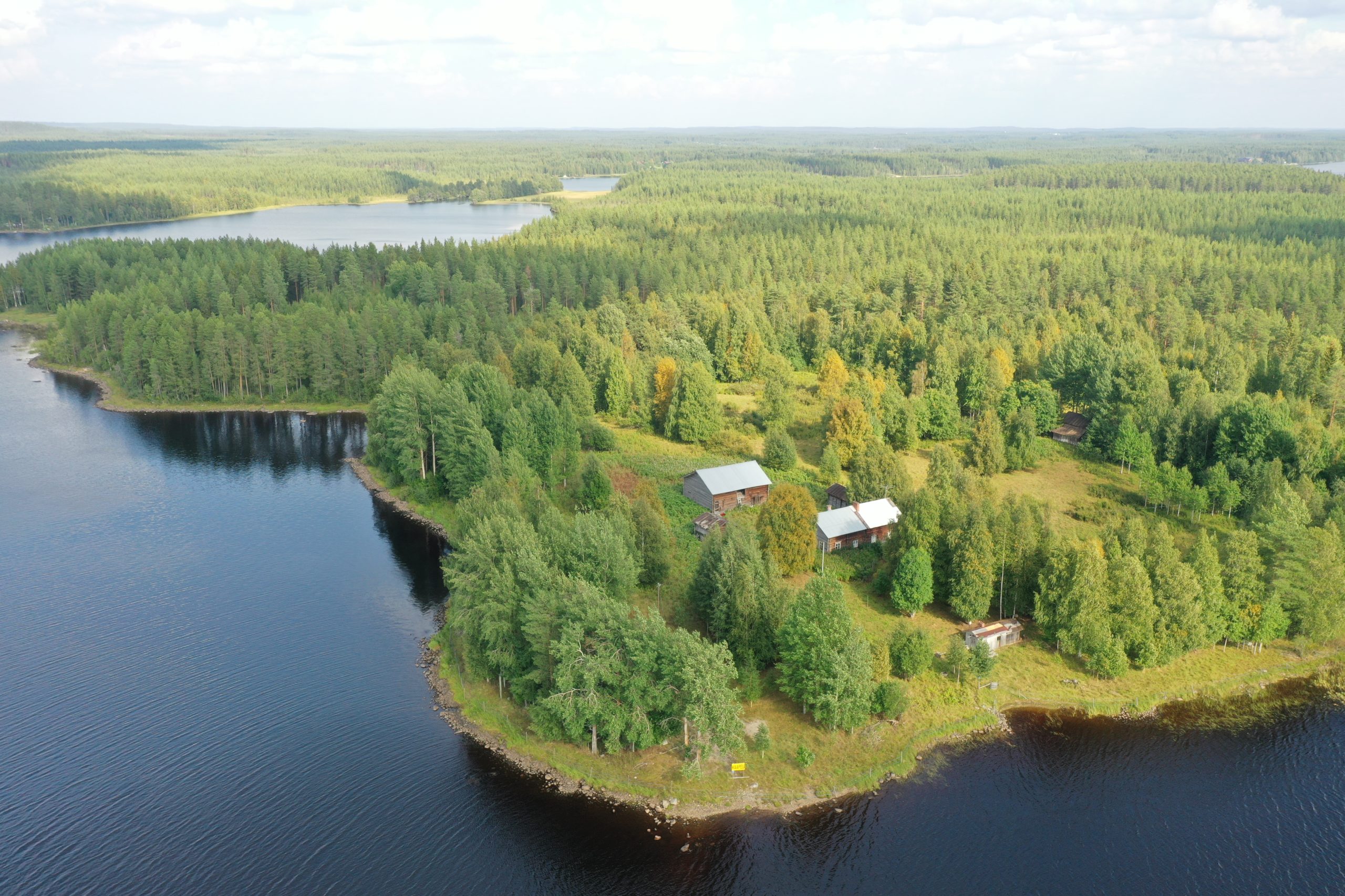 Metsätila, mökki ja rantatontit Huovisenniemi » Suomen MetsätKuntoon